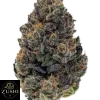 Banana Runtz Strain - Image 4