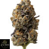 Banana Runtz Strain
