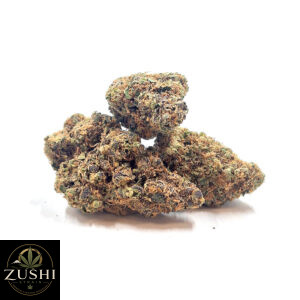 Cheddar Cheeze Strain