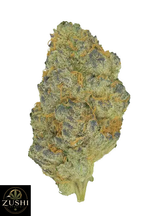 Durban Z Strain