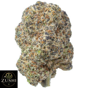 GMO Strain