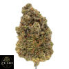 Gelonade Strain