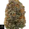 Gelonade Strain