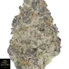 Glitter Bomb Strain - Image 4