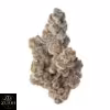 Glitter Bomb Strain - Image 3