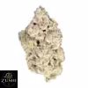 MAC 1 Strain - Image 3