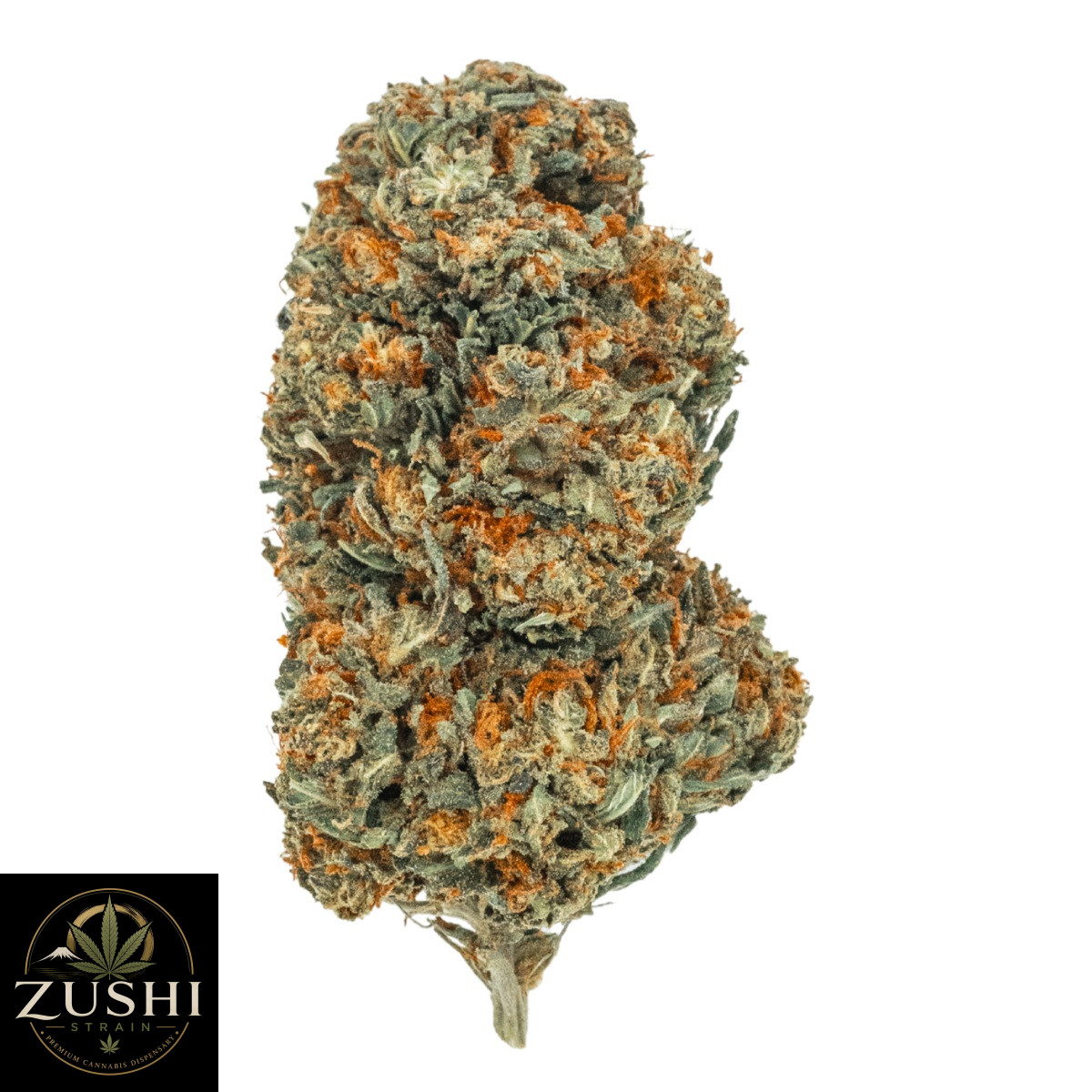OG Kush Strain