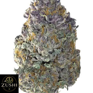 Papaya Zoap Strain