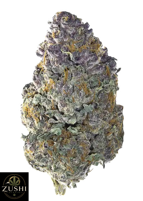 Papaya Zoap Strain