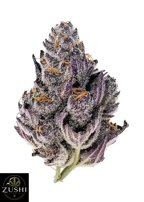 Pink Zushi Strain
