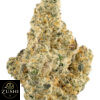 RS11 Strain - Image 4