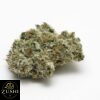 RS11 Strain