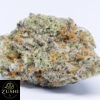 RS11 Strain