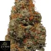 Red Hot Muffin Strain - Image 4
