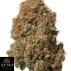 Red Hot Muffin Strain - Image 3