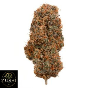 Red Hot Muffin Strain
