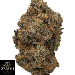 Sunset Sherbet Strain