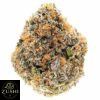 Think Tank Strain