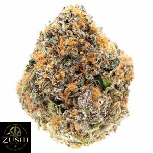 Think Tank Strain