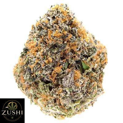 Think Tank Strain