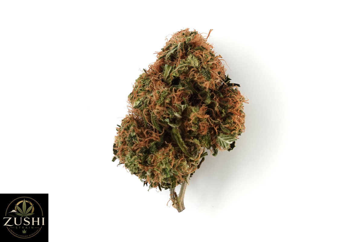 Wazabi Strain