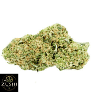 Whitethorn Rose Strain