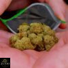 Zheetos Strain - Image 3